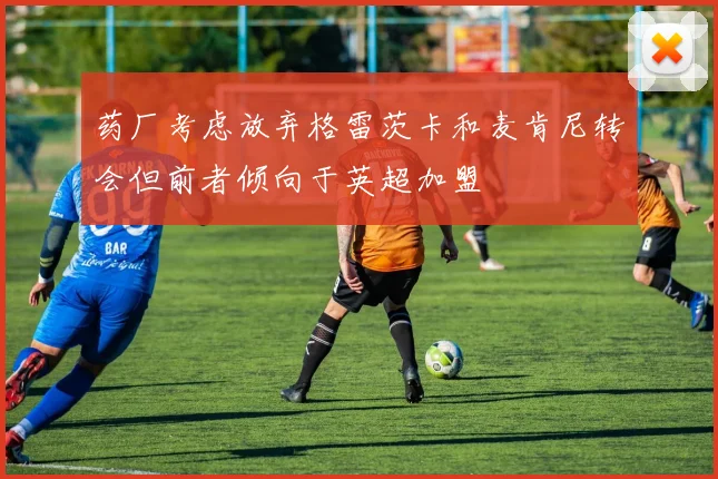药厂考虑放弃格雷茨卡和麦肯尼转会但前者倾向于英超加盟