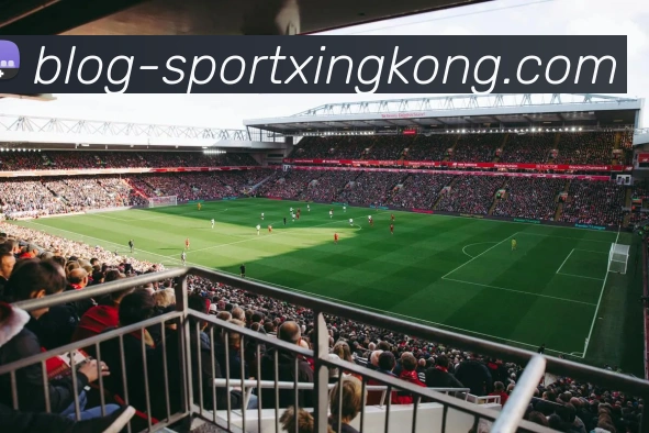 星空体育平台生态图