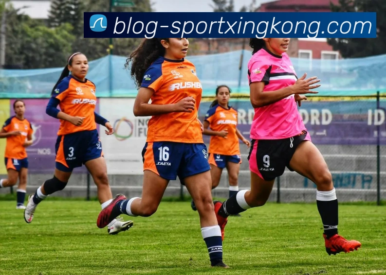 星空体育全站App